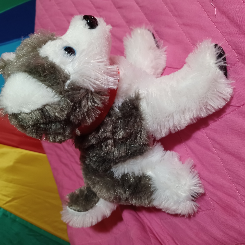 Husky Dog Plyshie - Picture 11 of 11